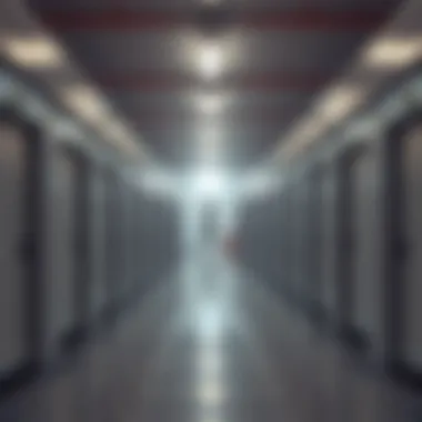 Magnificent Exploring Cold Storage Solutions for Rent in Dubai