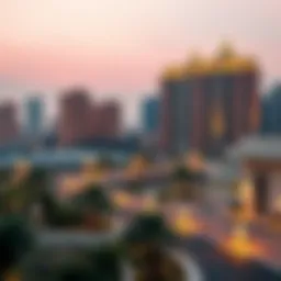 A Comprehensive Exploration of شارع مليحة: The Emerging Hub of Dubai Introduction