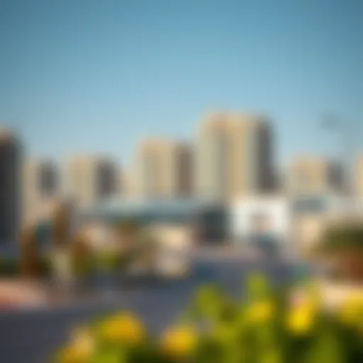 Overview of Al Khail Gate real estate