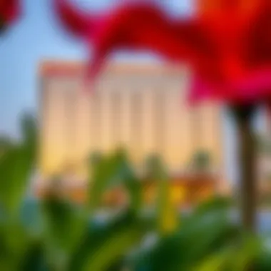 Damac Paramount Hotel Dubai: A Comprehensive Analysis Summary Damac Paramount Hotel Dubai: A Comprehensive Analysis Summary