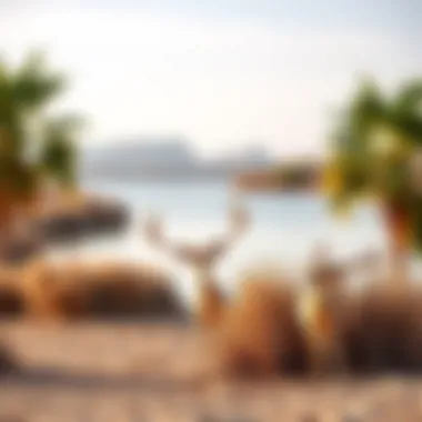 Wildlife around Al Qudra Love Lake