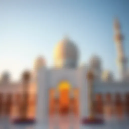 Stunning view of the Sheikh Zayed Grand Mosque showcasing its intricate architecture