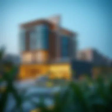 Sustainable Living in Deira Sustainable developments and green spaces in Deira Islands