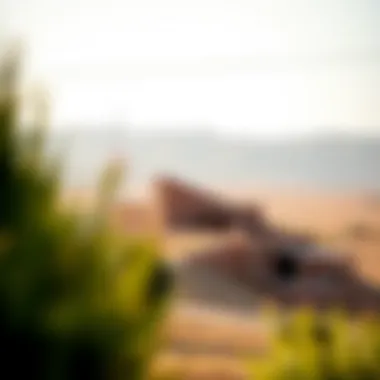 Stunning landscapes surrounding Ras Al Khaimah farmhouses