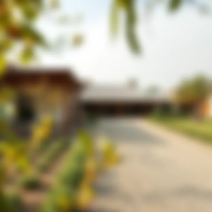 Sustainable living practices in Ras Al Khaimah farmhouses