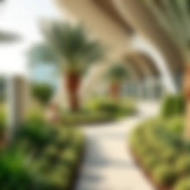 A close-up view of the unique landscape architecture in Al Barsha Park, featuring pathways and native plants.