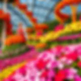 A serene view of Dubai Miracle Garden showcasing vibrant floral displays and intricate designs.