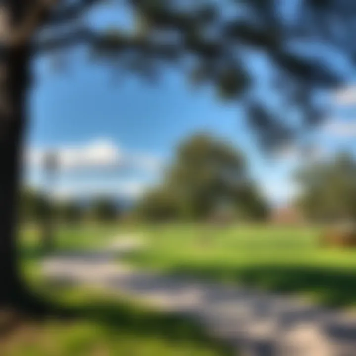 Tranquil Parks at Hyatt Creek Heights Tranquil park areas within Hyatt Creek Heights offering a serene environment