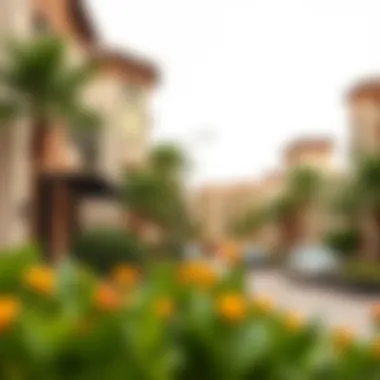 The vibrant community atmosphere surrounding Lime Gardens