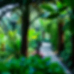 Vibrant greenery of Nad Al Sheba Mini Forest