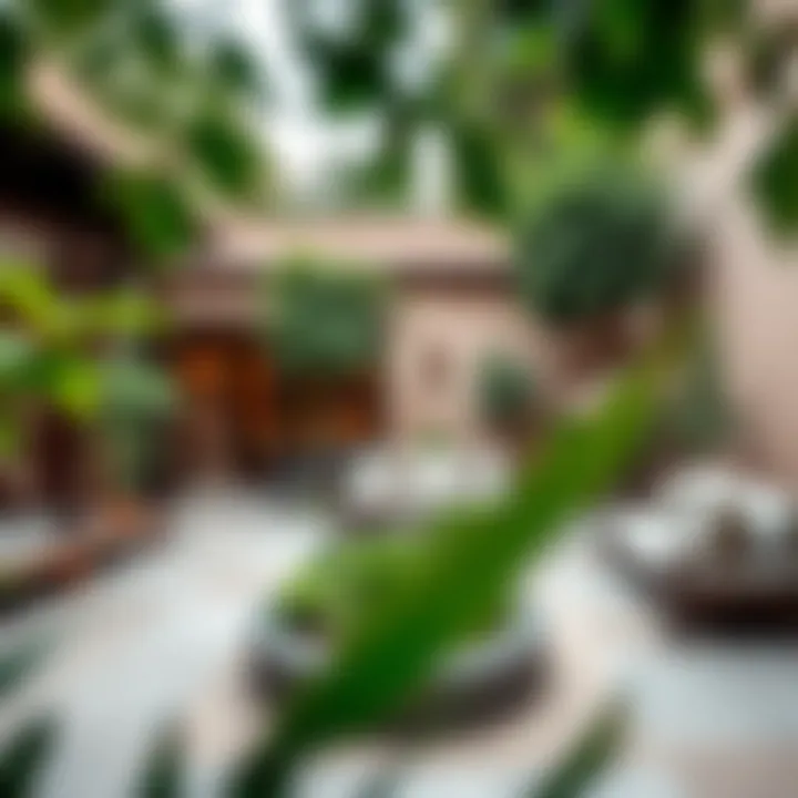 Lush Outdoor Spaces Surrounding Al Tawarru Homes Outdoor space of a traditional house in Al Tawarru with lush greenery