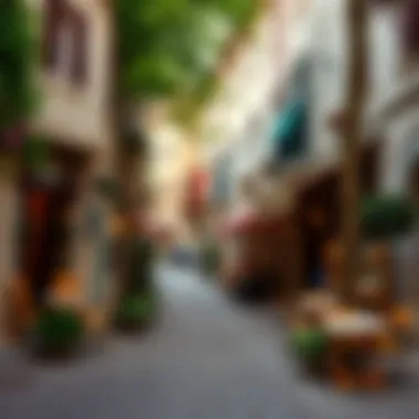 A quaint cobblestone street lined with charming cafes, inviting couples to explore.