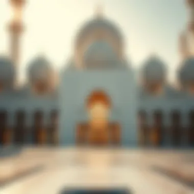 The intricate architecture of the Sheikh Zayed Grand Mosque, highlighting its beauty and design.