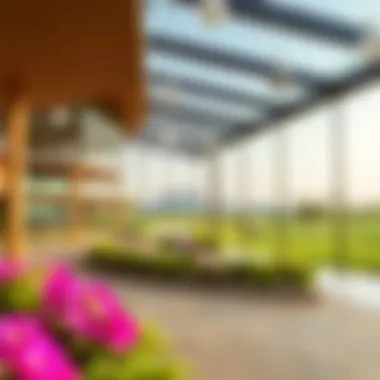 Exploring the Dubai Emirates Golf Club: A Comprehensive Overview Introduction Exploring the Dubai Emirates Golf Club: A Comprehensive Overview Introduction