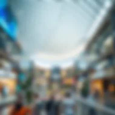 Exploring the Virtual Reality Landscape of Dubai Mall Introduction