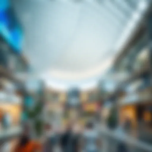 Exploring the Virtual Reality Landscape of Dubai Mall Introduction