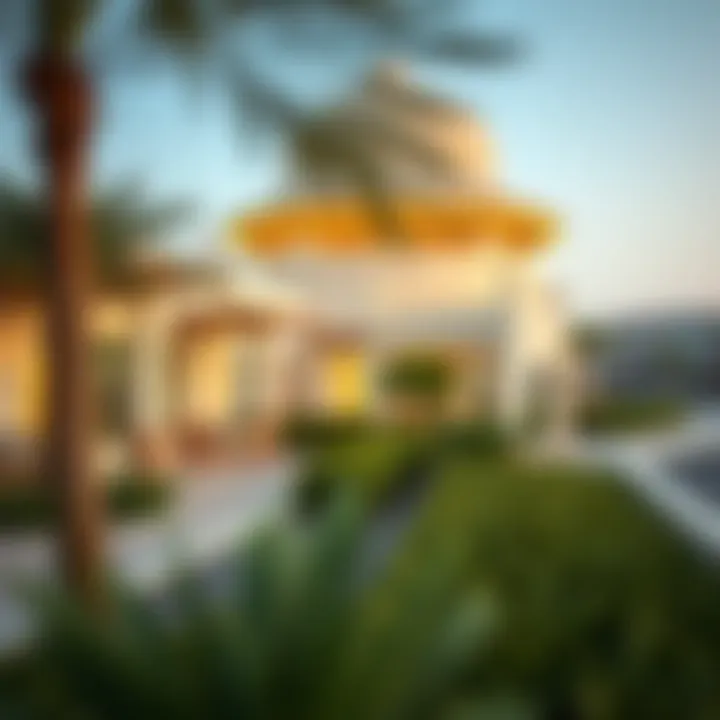 Amenities and recreational facilities in Wadi Al Shabak