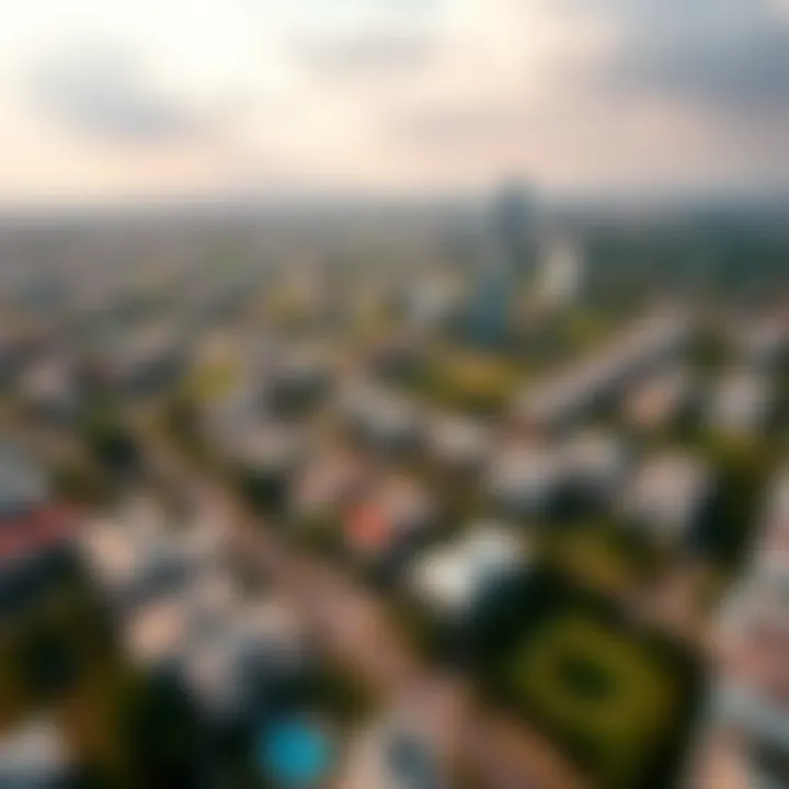 Aerial view highlighting the residential areas within Falcon City