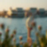 Floating Seahorse: A Unique Blend of Nature and Luxury in Dubai's Real Estate Introduction