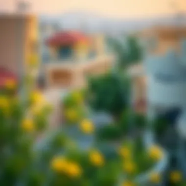 A view of the Al Nuaimia neighborhood highlighting vibrant community life