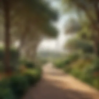 Natural Beauty of Khalifa Park Vibrant flora and fauna thriving in the ecological landscape of Khalifa Park