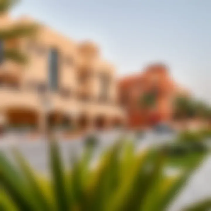 Vibrant community spaces in a Dubai neighborhood