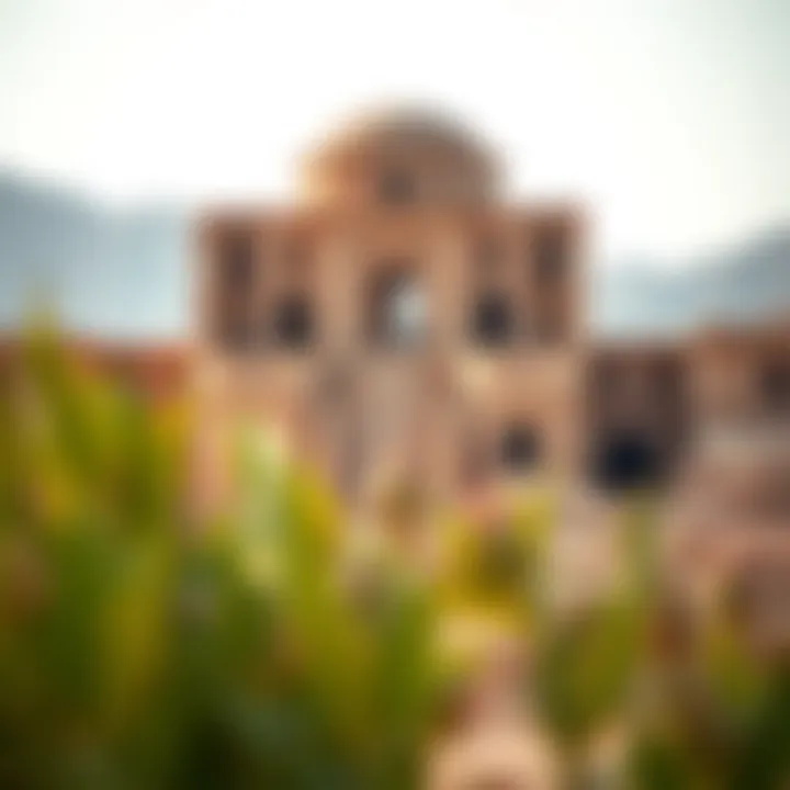 An ancient archaeological site showcasing historical ruins in Liwa Oasis