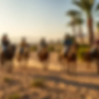 Recreational activities at the resort featuring horseback riding and serene surroundings