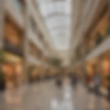 Diverse Retail Experience at Mirdif Mall A vibrant shopping scene inside Mirdif Mall with diverse retail options.
