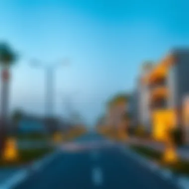 Exploring Community Features in Nad Al Hamar Community features of Nad Al Hamar