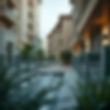 Navigating Foreclosed Properties in Dubai's Real Estate Market Summary Navigating Foreclosed Properties in Dubai's Real Estate Market Summary