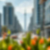 Navigating Real Estate Opportunities in Dubai: The Role of Provident Dubai Introduction
