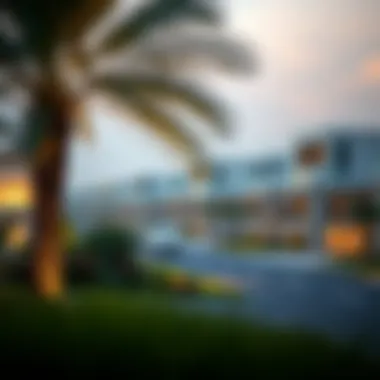 Dubai Residential Community Overview Outdoor view of a residential community in Dubai
