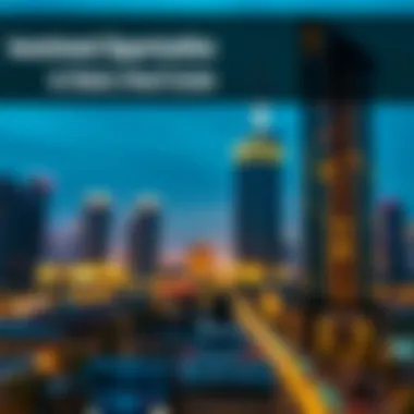 Investment Opportunities in Dubai's Real Estate Sector An infographic depicting investment opportunities in Dubai's real estate sector