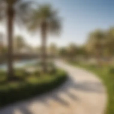 Community Park in Al Warqa Vibrant community park in Al Warqa promoting recreational activities