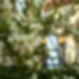 The Significance of Lemon Blossom in Dubai's Real Estate Landscape Introduction