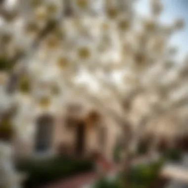 Notable The Significance of Lemon Blossom in Dubai's Real Estate Landscape