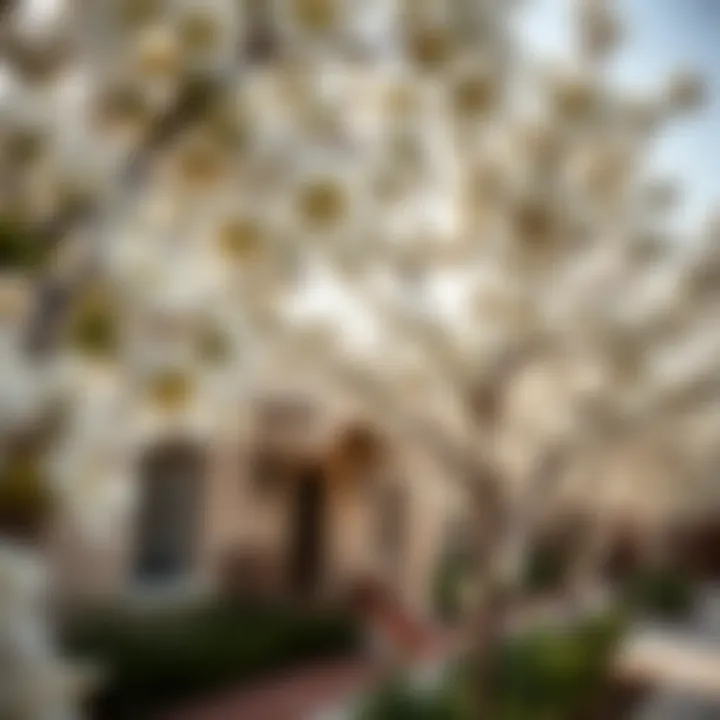 Notable The Significance of Lemon Blossom in Dubai's Real Estate Landscape