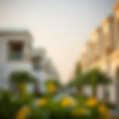 Investment Growth Potential in Dubai's Real Estate Market Investment growth potential in Dubai's real estate market