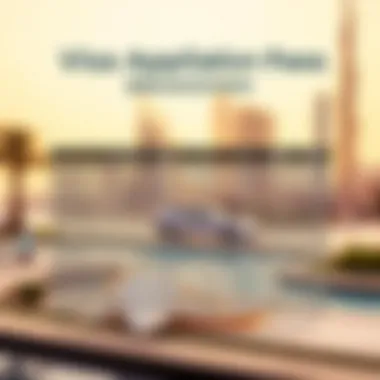 Chart representing processing fees and additional charges for visa applications