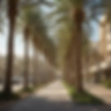 Ecological Benefits of Palm Strips in Urban Areas Ecological benefits offered by palm strips in urban areas