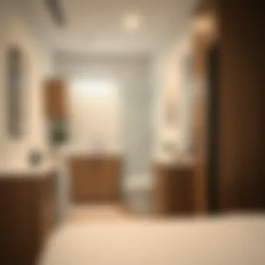 Essential Amenities in Studio Apartments Amenities in a studio apartment, including kitchen and bathroom